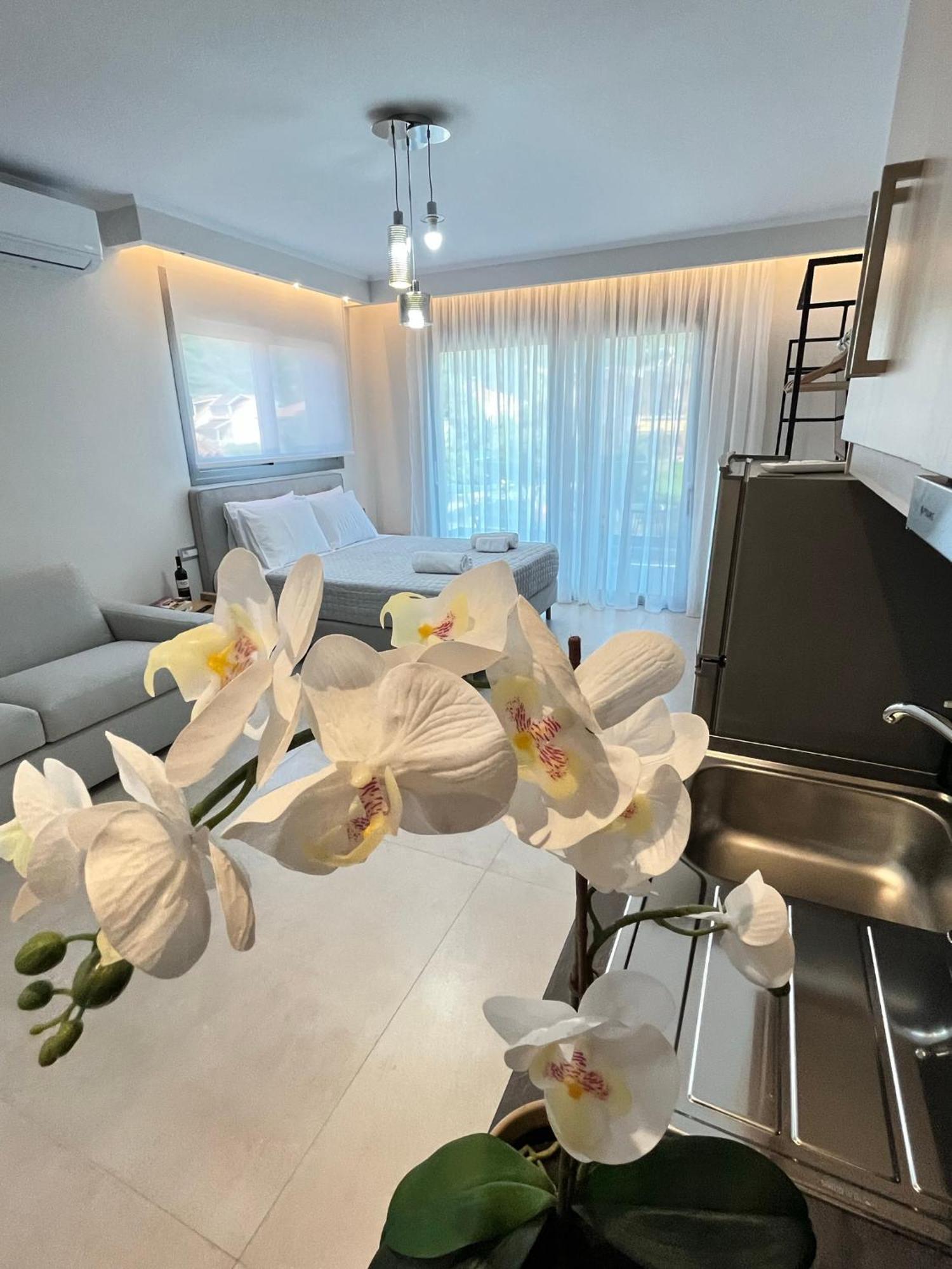 Maison Deluxe Studios And Apartment 帕尔加 外观 照片