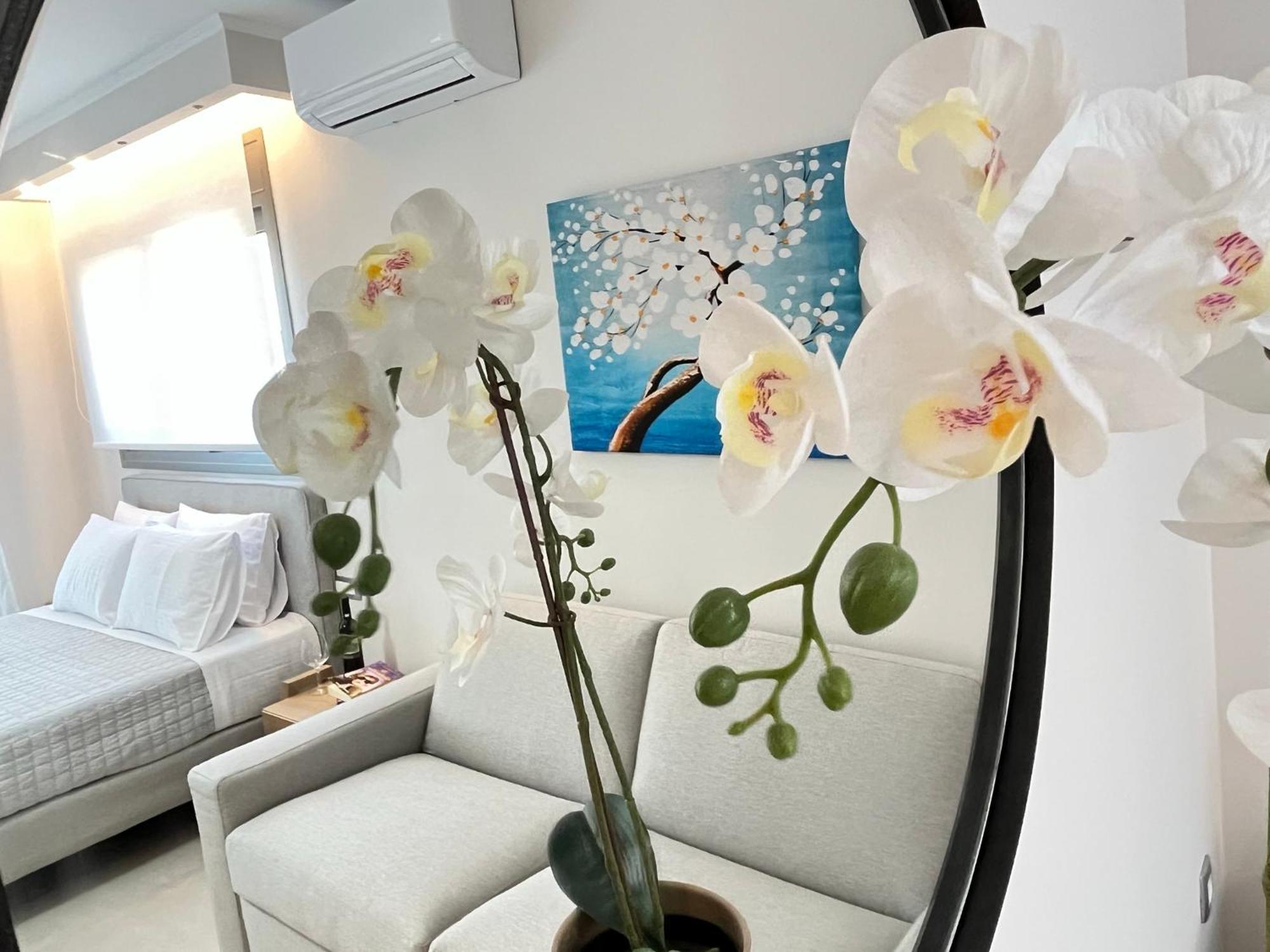 Maison Deluxe Studios And Apartment 帕尔加 外观 照片